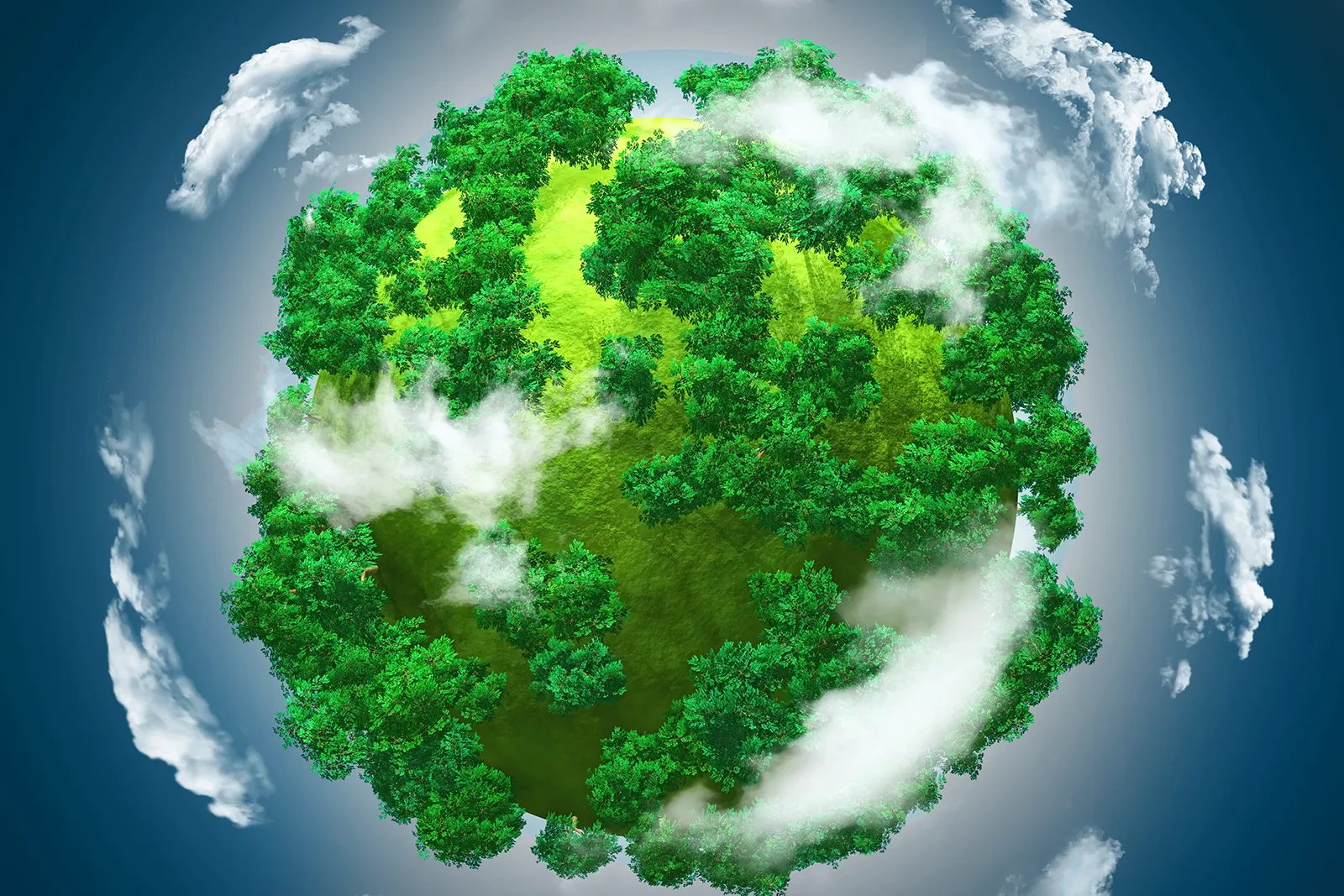 Servizio di monitoraggio ambientale